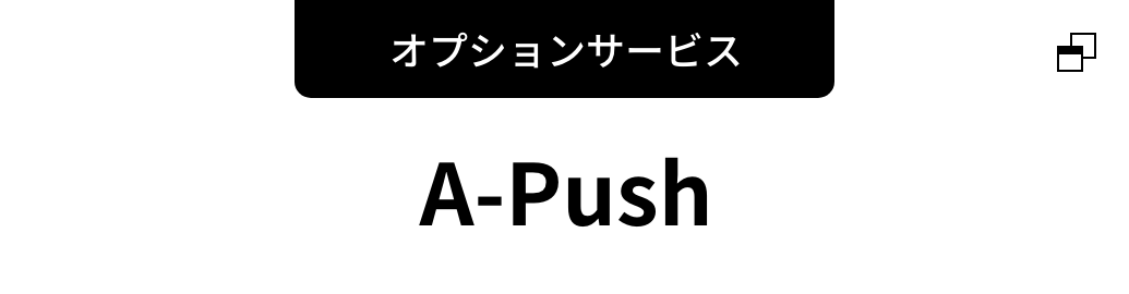 オプションサービス　A-Push