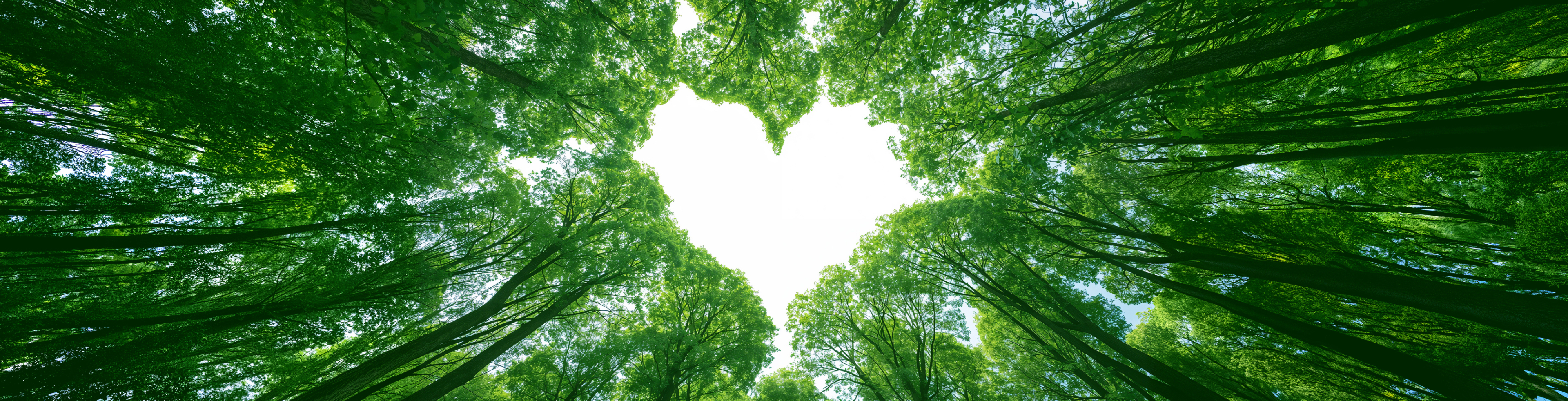 Caring Green Heart メインビジュアル